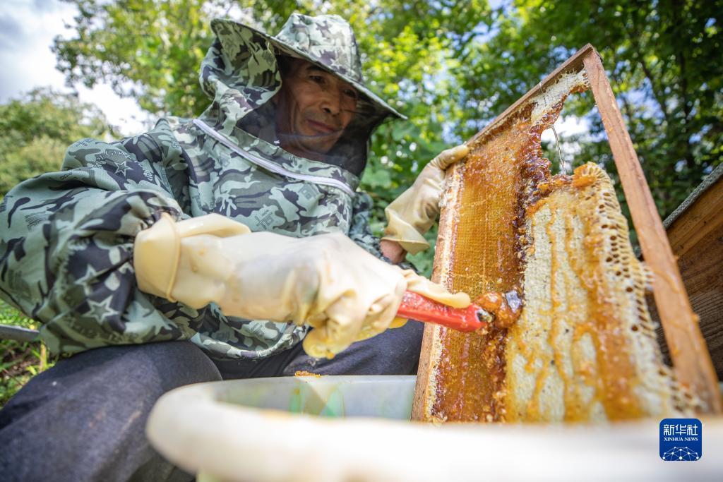 百万发手机登录平台